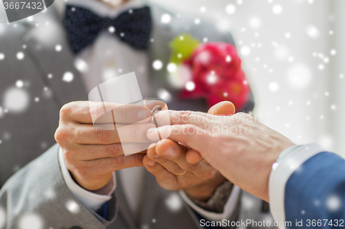 Image of close up of male gay couple hands and wedding ring