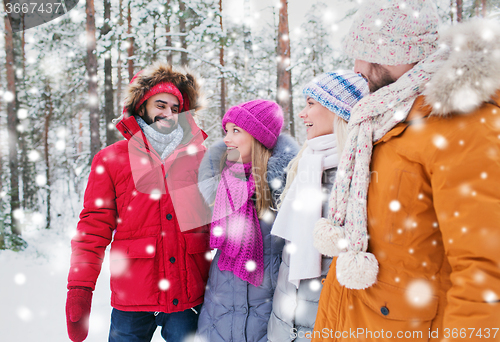 Image of group of smiling men and women in winter forest