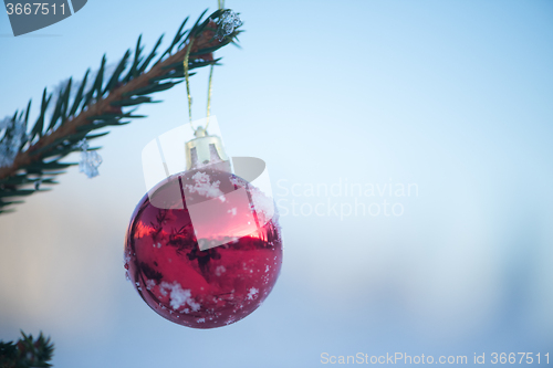 Image of christmas balls on tree