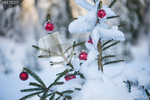 Image of christmas balls on tree