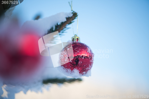 Image of christmas balls on tree