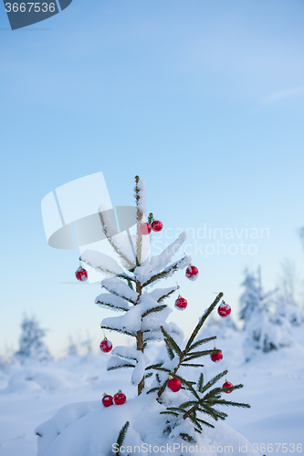 Image of christmas balls on tree