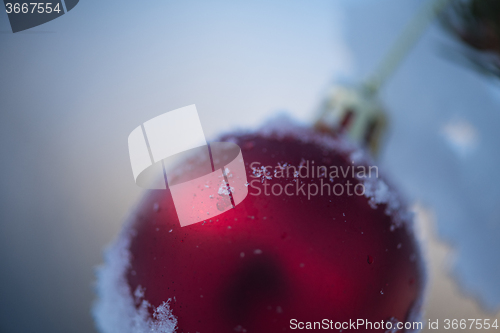 Image of christmas balls on tree