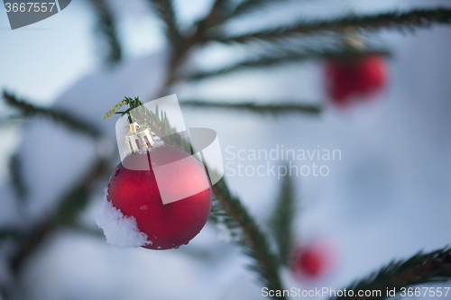 Image of christmas balls on tree