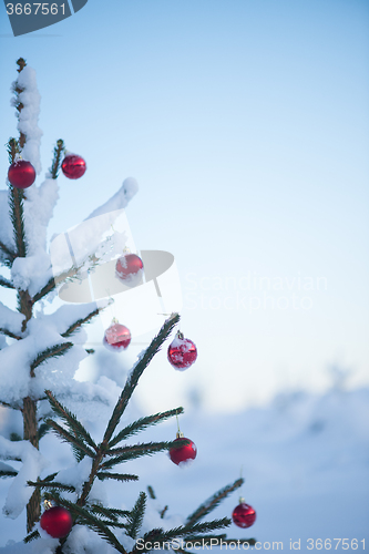 Image of christmas balls on tree