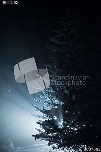 Image of tree covered with fresh snow at winter night