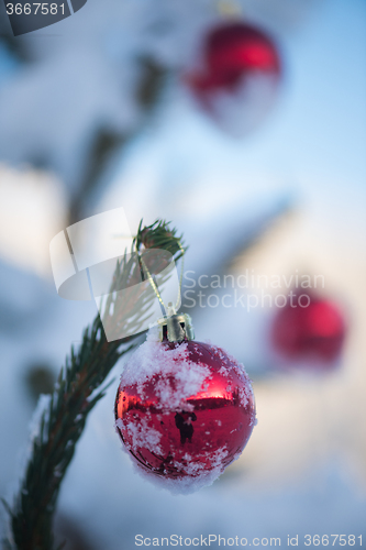 Image of christmas balls on tree