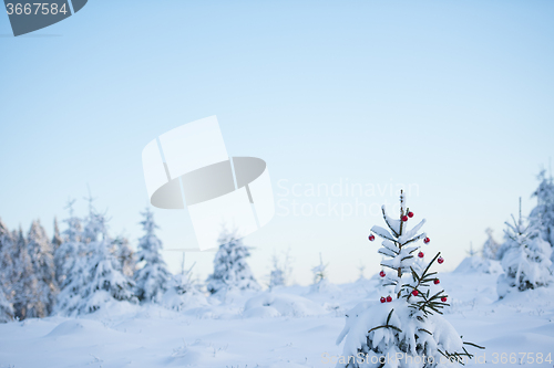 Image of christmas balls on tree