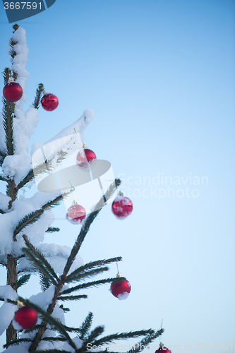 Image of christmas balls on tree