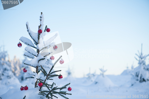 Image of christmas balls on tree