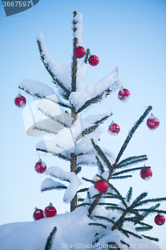 Image of christmas balls on tree