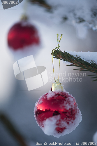 Image of christmas balls on tree