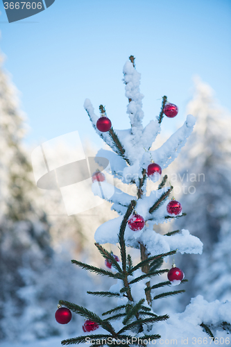 Image of christmas balls on tree