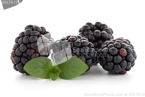 Image of Blackberries with leaves