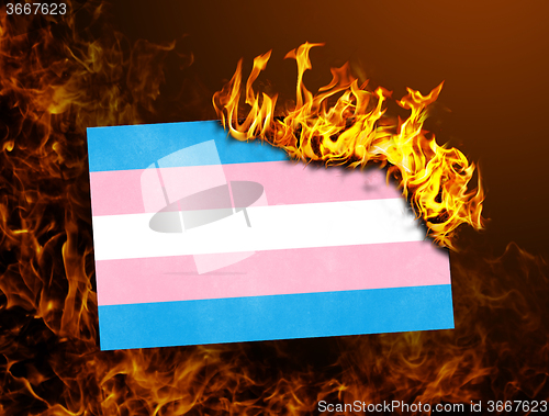 Image of Flag burning - Trans Pride