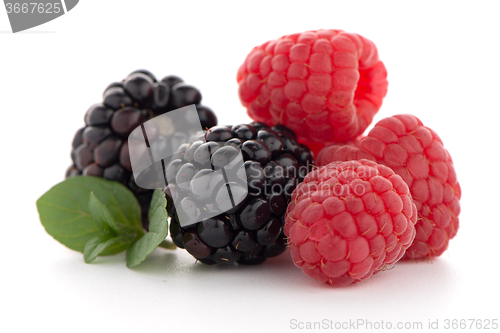 Image of Raspberry with blackberry 