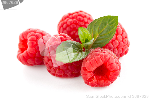 Image of Raspberries with leaves