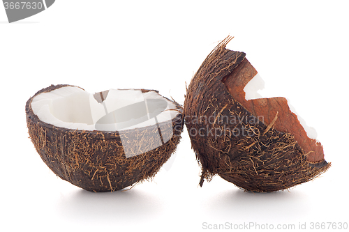 Image of Coconut