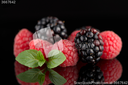 Image of Blackberry and raspberry