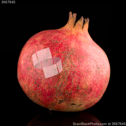 Image of ripe pomegranate fruit