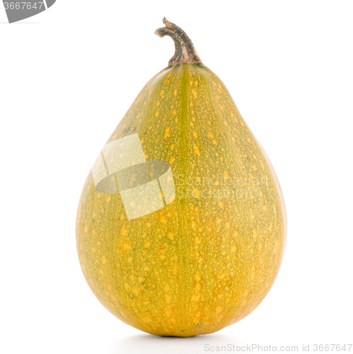 Image of Pumpkin