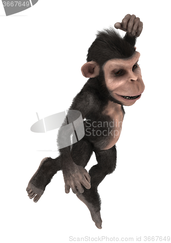 Image of Little Chimp Monkey on White