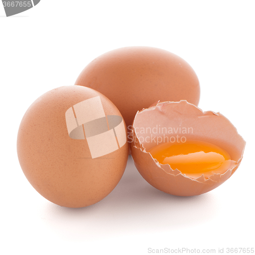 Image of Raw eggs isolated on white