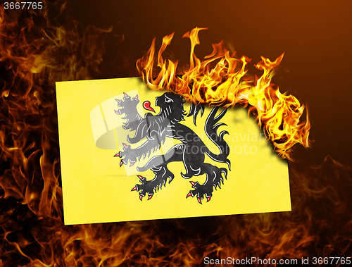 Image of Flag burning - Flanders
