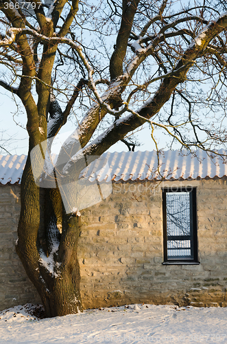 Image of  Winter view of the Old Tallinn