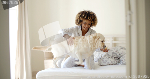 Image of Woman And Her Dog In The Bed