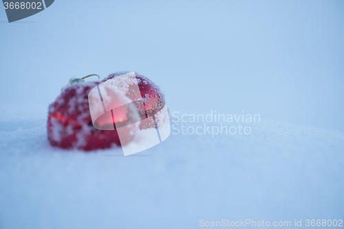 Image of christmas ball in snow