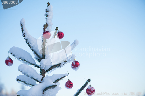 Image of christmas balls on tree