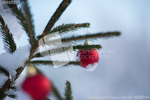 Image of christmas balls on tree