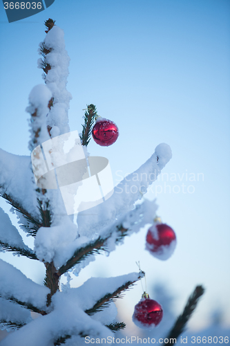 Image of christmas balls on tree