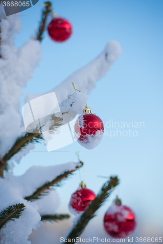 Image of christmas balls on tree