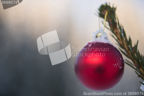 Image of christmas balls on tree