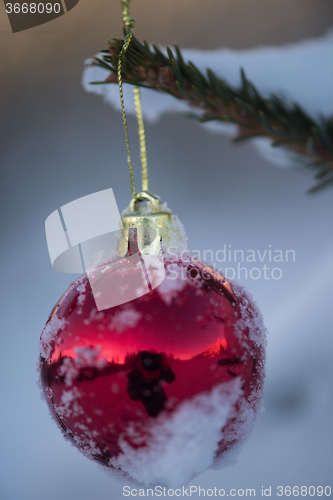 Image of christmas balls on tree