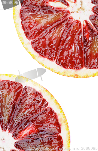 Image of Slices of Blood Oranges