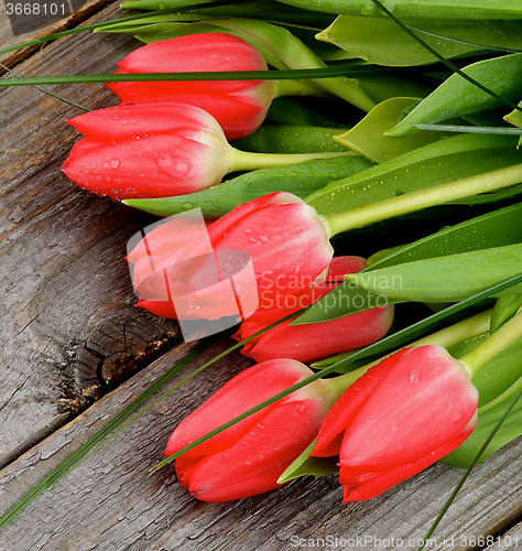 Image of Bouquet of Spring Tulips