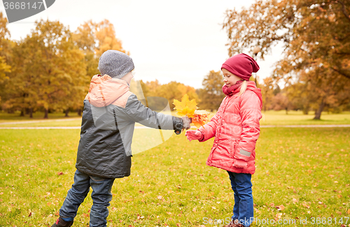 Image of little boy giving autumn maple leaves to girl