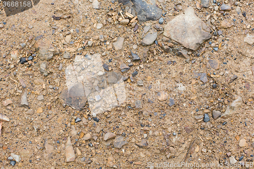 Image of close up of brown ground