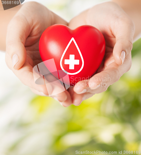 Image of female hands holding red heart with donor sign