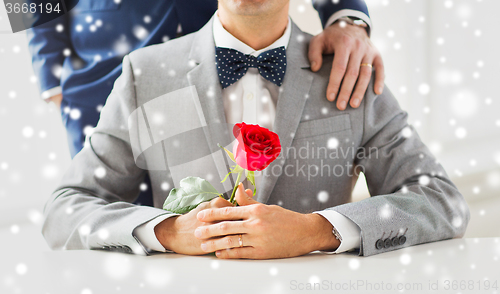 Image of close up of male gay couple with wedding rings on