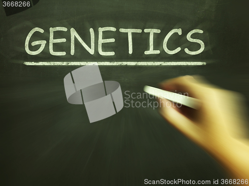 Image of Genetics Chalk Means Genes DNA And Heredity