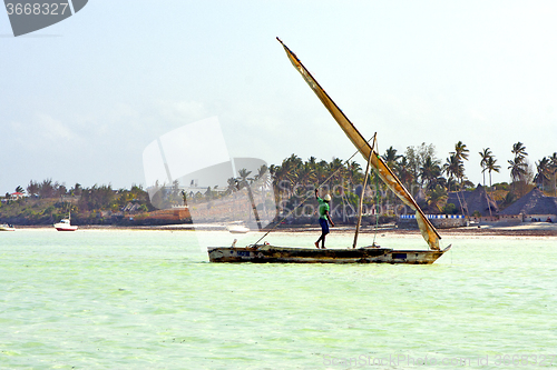 Image of beach   in zanzibar seaweed  palm     sand isle  sky  and sailin