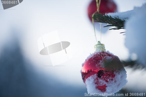 Image of christmas balls on tree