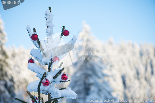 Image of christmas balls on tree