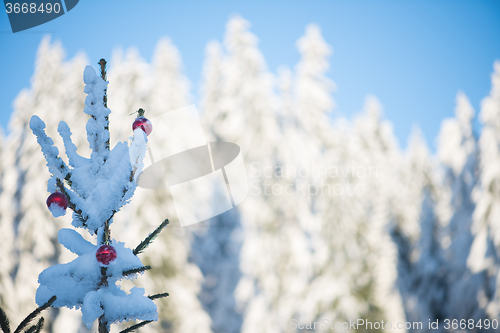 Image of christmas balls on tree