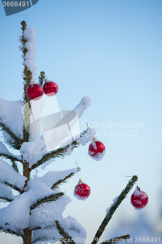 Image of christmas balls on tree