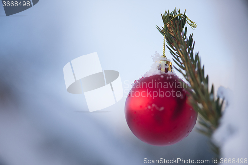 Image of christmas balls on tree